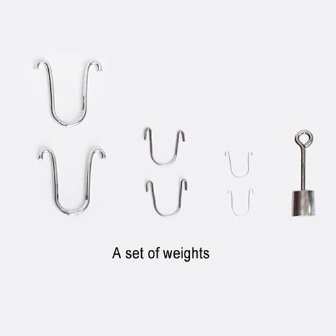 Liquid Density Specific Balance, Webster's Mechanical Weight Specific Scale, Accuracy 0.001, Measuring Range 0-2.000 G/cm³, 5cm³ Drain Port, for Measuring Liquid Density, Industrial in Kuwait