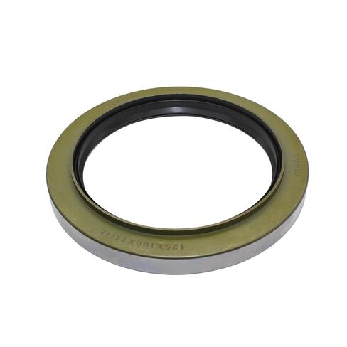 125×160×14/18 Oil Seal in Saudi Arabia