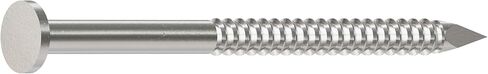 Simpson Strong Tie S6ACN1 6d Annular Shank Common Nails 2-Inch 11 Gauge 304 1-Pound Stainless Steel in Saudi Arabia