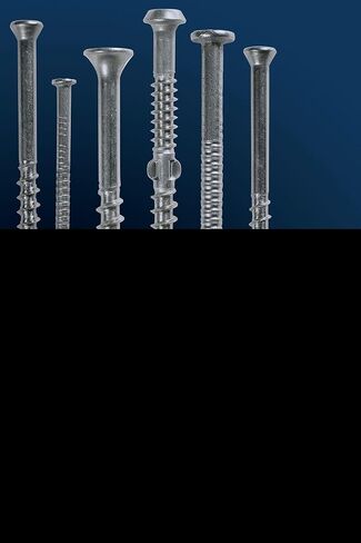 Simpson Strong Tie S6ACN1 6d Annular Shank Common Nails 2-Inch 11 Gauge 304 1-Pound Stainless Steel in Saudi Arabia