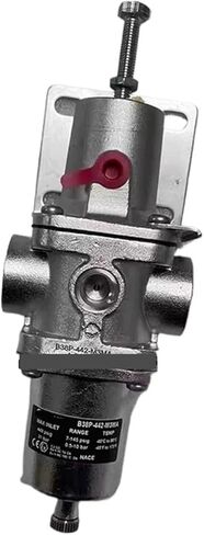 B38P-442-M3MA 1/4NPT برغي الموضوع الفولاذ المقاوم للصدأ تصفية صمام تخفيض الضغط in Kuwait