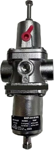 B38P-444-M1MA 1/2NPT برغي الموضوع الفولاذ المقاوم للصدأ تصفية صمام تخفيض الضغط in Kuwait