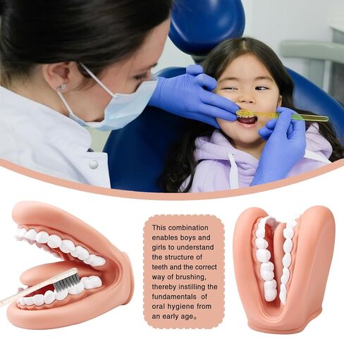 Mouth Puppet with Tongue Teeth for Speech Therapy Soft Silicone Giant Teeth Demonstration Model Brushing Oral Model（1pc Mouth Puppet+1pc Toothbrush) in Kuwait