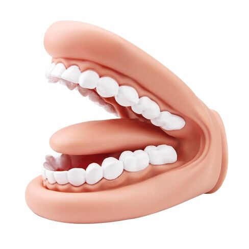 Mouth Puppet with Tongue Teeth for Speech Therapy Soft Silicone Giant Teeth Demonstration Model Brushing Oral Model（1pc Mouth Puppet+1pc Toothbrush) in Kuwait