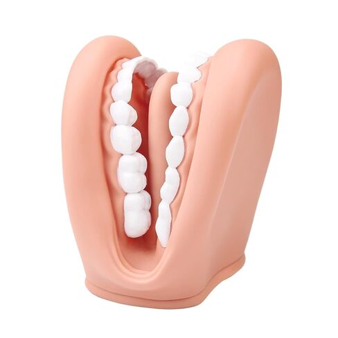 Mouth Puppet with Tongue Teeth for Speech Therapy Soft Silicone Giant Teeth Demonstration Model Brushing Oral Model（1pc Mouth Puppet+1pc Toothbrush) in Kuwait