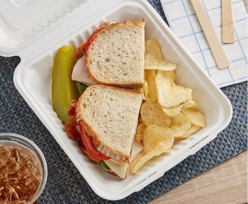 8"x8"x3" Clamshell 100% Compostable Ecofriendly PFAS Free Unbleached Bagasse Natural White (300/case) in Saudi Arabia