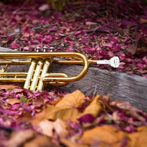 Brass Cornet Mouthpiece Silver-plated Metal Labor-saving 4b Short Shank Accessory for Beginner and Professional Cornet Players in Kuwait