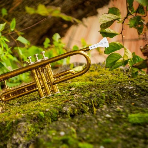 Brass Cornet Mouthpiece Silver-plated Metal Labor-saving 4b Short Shank Accessory for Beginner and Professional Cornet Players in Kuwait