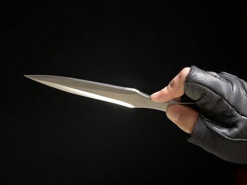 Knight Throwing Tools,Kunai, 8.66in, 5,29oz, Products with Full Tang Stainless Steel Design and Protective Nylon Sheaths, Outdoor Recreation and Competition(Knight) in Saudi Arabia