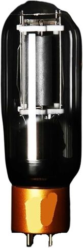 845-TII 845 Vacuum Tube Precision Matching Power Amplifier(2 pcs) in Kuwait