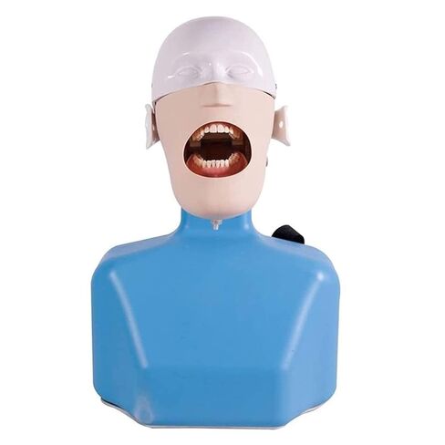 Dental Teaching Head Model, Simulator, Training with Shoulder Body, for Dentist in Saudi Arabia