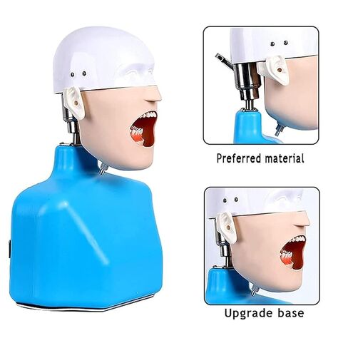 Dental Teaching Head Model, Simulator, Training with Shoulder Body, for Dentist in Saudi Arabia