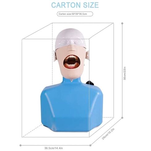 Dental Teaching Head Model, Simulator, Training with Shoulder Body, for Dentist in Saudi Arabia
