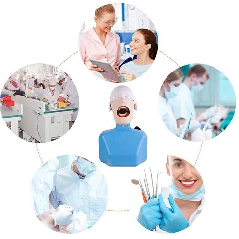 Dental Teaching Head Model, Simulator, Training with Shoulder Body, for Dentist in Saudi Arabia