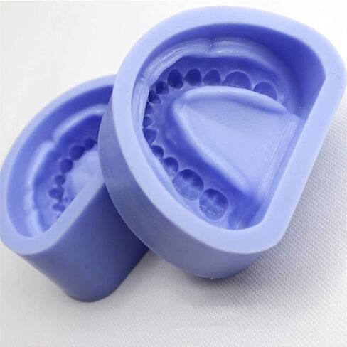 Dental Tooth Model, Standard Mandibular Silicone Rubber Prepared Plaster, Technician Oral Medicine Teaching Tool in Saudi Arabia