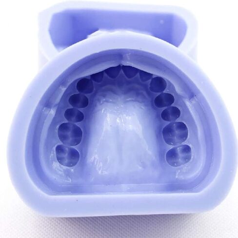 Dental Tooth Model, Standard Mandibular Silicone Rubber Prepared Plaster, Technician Oral Medicine Teaching Tool in Saudi Arabia