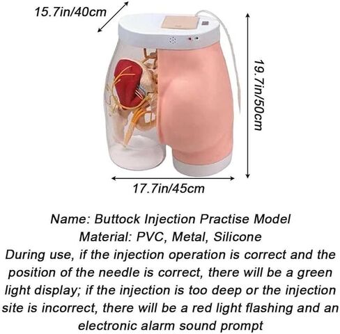 Hip Injection Exercise Model, Muscle Tissue+Bone Structure+Vascular and Nervous System+Surgery in Saudi Arabia