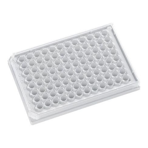 ج.ج. Finneran 311003 384-Well Krystal Clear Bottom لوحة فحص البوليسترين مع غطاء، جسم غير شفاف، معالجة لثقافة الأنسجة، سعة 120 ميكرولتر، أبيض (عبوة من 100) in Kuwait