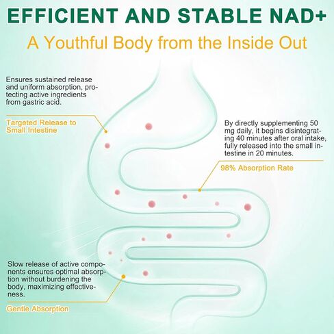 مكمل NAD 120 كبسولة، نيكوتيناميد ريبوسيد دهني، ريسفيراترول، كيرسيتين، NAD نيكوتيناميد ريبوسيد ريسفيراترول 910 ملغ للنساء والرجال، مكمل NAD لمكافحة الشيخوخة وتجديد الخلايا in Kuwait