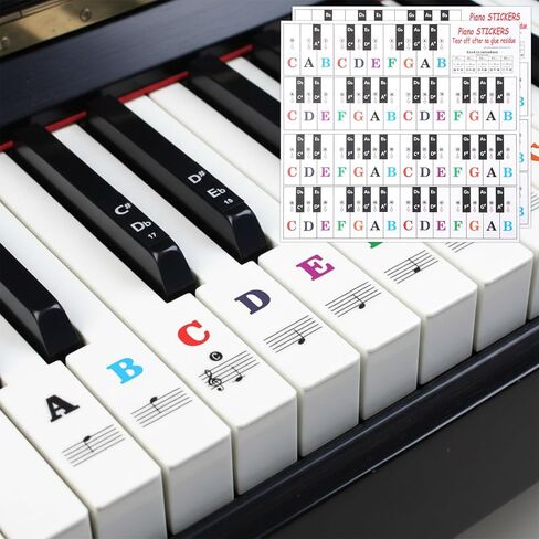 Piano Stickers for Beginners, Piano Key Stickers, Removable Pianos Note Sticker for 88/61/54/49/37 Key, Transparent Large Colorful Letters for Beginners Learning in Kuwait