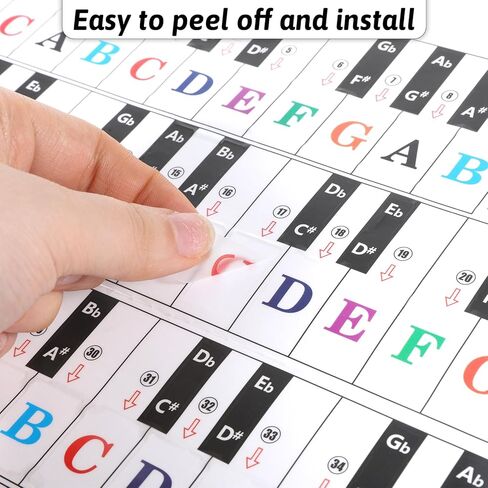 Piano Stickers for Beginners, Piano Key Stickers, Removable Pianos Note Sticker for 88/61/54/49/37 Key, Transparent Large Colorful Letters for Beginners Learning in Kuwait
