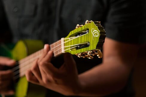 Ortega Guitars, 4-String Prism Series Slotted Headstock Tenor Ukulele w/Bag, Right, ivy fade, One Size (RUPR in Kuwait