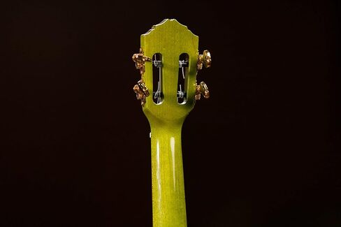 Ortega Guitars, 4-String Prism Series Slotted Headstock Tenor Ukulele w/Bag, Right, ivy fade, One Size (RUPR in Kuwait