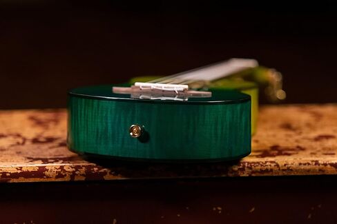 Ortega Guitars, 4-String Prism Series Slotted Headstock Tenor Ukulele w/Bag, Right, ivy fade, One Size (RUPR in Kuwait