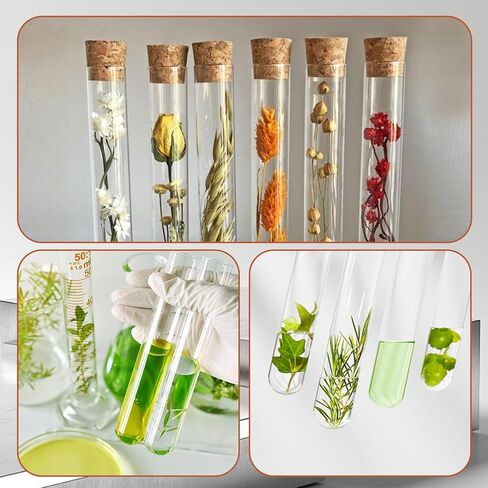 15Pcs Clear Plastic Test Tubes with Cork Stoppers, Good Seal 15ml Clear Storage Tubes for Jewelry Beads Seed Spice Powder Liquid, 15x150mm for Lab Use and Home Decoration in Saudi Arabia
