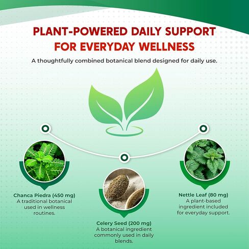 Premium All-in-1 Chanca Piedra, Celery Seed, Nettle Leaf & Resveratrol – Supports Fluid Balance & Antioxidant Cell Protection – Made in The USA – 150 Capsules in Kuwait