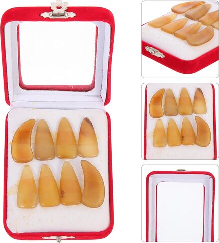 BESTYASH Guzheng Finger Nails Thickened Ox Horn Picks Large Size Protective Fake Nails for Guzheng Players with Fingertip Covers Suitable for String Instrument Practice Random Color in Kuwait