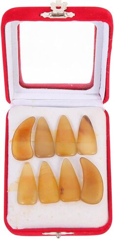 Guzheng Horn Finger Picks Thickened Large Size Protective Fake Nails Fingertip Covers for Guzheng Playing Assorted Colors Pack Random Color in Kuwait