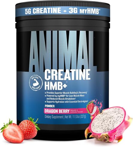 Animal Creatine HMB+ - Creatine Monohydrate Powder with HMB & Electrolytes, Supports Muscle Growth, Recovery, Endurance, Gym & Workout Supplements for Men & Women - Dragon Berry Flavored, 30 Servings in Kuwait