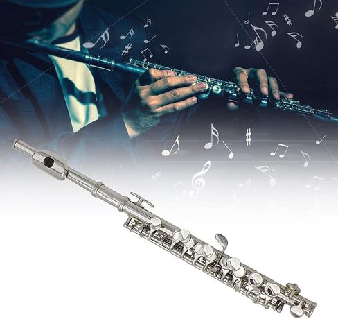 16 Hole Piccolo Set Metal Piccolo Key Of C with Cleaning Cloth Screwdriver and Bar for Beginners Students Performance (Silver) in Kuwait