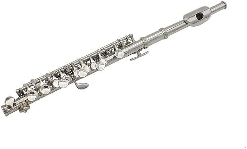 16 Hole Piccolo Set Metal Piccolo Key Of C with Cleaning Cloth Screwdriver and Bar for Beginners Students Performance (Silver) in Kuwait