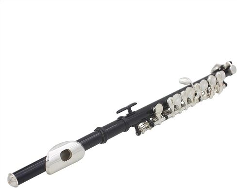 Practical Piccolo Silverplated Piccolo for Piccolo Players for Performance (Black) in Kuwait