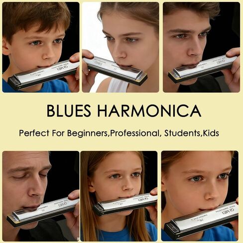 Golden Harmonica Key of C with Case, 28 Holes Diatonic Harmonicas Mouth Organ, Blues Harmonica for Adults/Professional Players/Beginners, Vintage Style Harmonica,Silver in Saudi Arabia