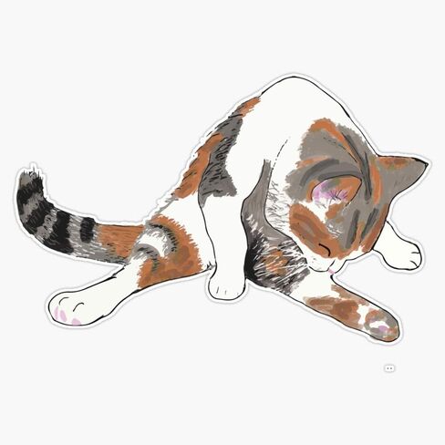 Calico Cat Bath Time Sticker Decal Vinyl Bumper Sticker Decal Waterproof 5" in Saudi Arabia