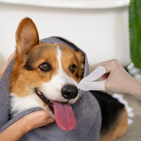 100pcs Cotton Finger Cots, Dog Ear Wipes Finger Ear Fingers Wipes for Dogs Fingers Covers Protection for Tips Gauze Sleeve, Breathable, Sweat Resistant Perfect for Work, Nails Cleaning(White) in Saudi Arabia