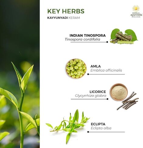 Kerala Ayurveda Kayyunyadi Thailam - Herbal Scalp Oil with Bhringaraj & Amla to Promote Normal, Lustrous Hair and Balance Pitta, 6.8 Fl Oz in Kuwait