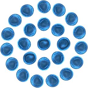 330 PCS Large Disposable Nitrile Finger Cots, Non-allergenic No Powder Finger Protectors，Thumb Covers Protector for Fingertips, Suitable for Manicure, Massage,Painting,Electronic Repair (Blue) in Kuwait