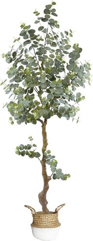 شجرة الأوكالبتوس الاصطناعية 6 أقدام ، نبات فو مع سلة ، أشجار الأوكالبتوس المزيفة مع أوراق الدولار الفضي الأبيض ، نباتات فو ، مصنوعة من المكاتب المنزلية الداخلية في الهواء الطلق in Kuwait