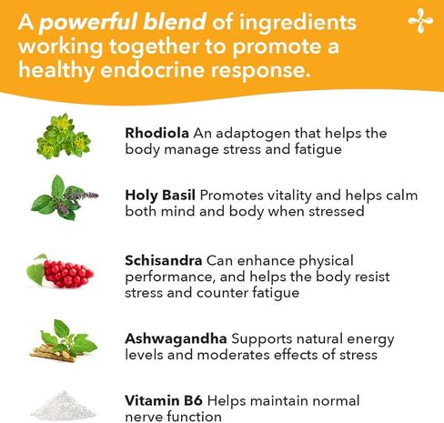 LifeSeasons Adrenal-T - مكمل دعم تعب الغدة الكظرية - يساعد على خفض الكورتيزول - تجنب الإرهاق - يساعد على إدارة الإجهاد - التنشيط - مع محولات أشواغاندا - 60 كبسولة in Kuwait