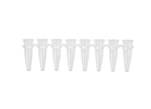 0.2mL PCR Tube Strips, 8 Tubes/Strip, Clear in Saudi Arabia