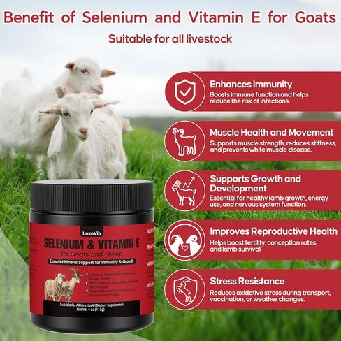 صيغة حيوية الثروة الحيوانية E و S | السيلينيوم للماعز والأغنام وجميع الماشية | مسحوق دعم المغذيات لتوازن الطاقة والتنقل | خليط أعلاف مضاف للنمو الصحي، 4 أونصة (113 جم) in Kuwait