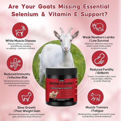 صيغة حيوية الثروة الحيوانية E و S | السيلينيوم للماعز والأغنام وجميع الماشية | مسحوق دعم المغذيات لتوازن الطاقة والتنقل | خليط أعلاف مضاف للنمو الصحي، 4 أونصة (113 جم) in Kuwait