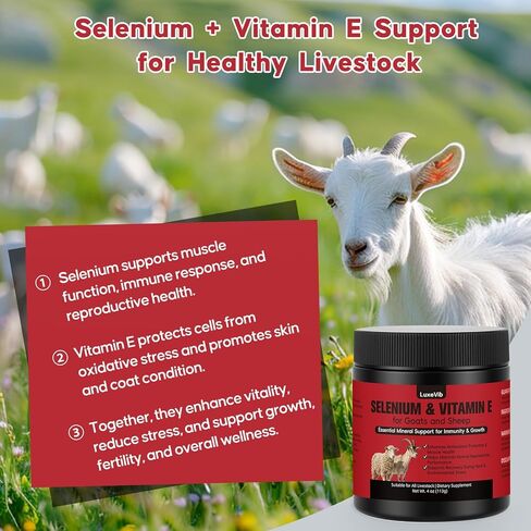 صيغة حيوية الثروة الحيوانية E و S | السيلينيوم للماعز والأغنام وجميع الماشية | مسحوق دعم المغذيات لتوازن الطاقة والتنقل | خليط أعلاف مضاف للنمو الصحي، 4 أونصة (113 جم) in Kuwait