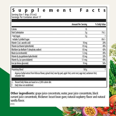 Salus Floradix Iron Kids - Liquid Iron & Vitamin Formula - Children's Supplement with C & B Vitamins - Vegan - Raspberry-Vanilla Flavor - 8.5 fl oz in Kuwait