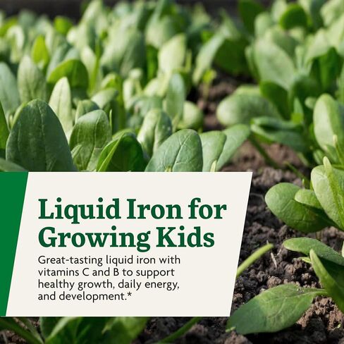 Salus Floradix Iron Kids - Liquid Iron & Vitamin Formula - Children's Supplement with C & B Vitamins - Vegan - Raspberry-Vanilla Flavor - 8.5 fl oz in Kuwait