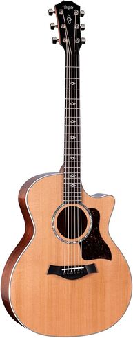 Taylor Next Generation 514ce Grand Auditorium Acoustic-Electric Guitar with Hardshell Case in Saudi Arabia